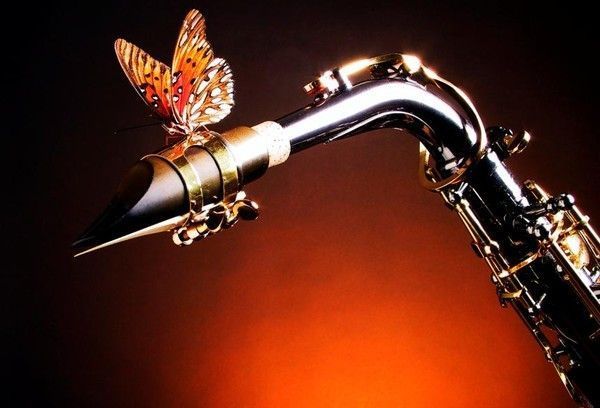 Fêtes : de la musique : animaux